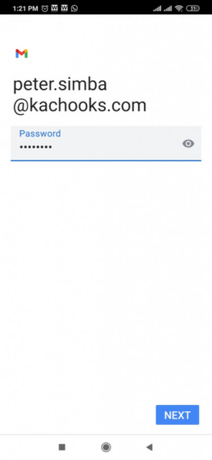 Mailsafi password window